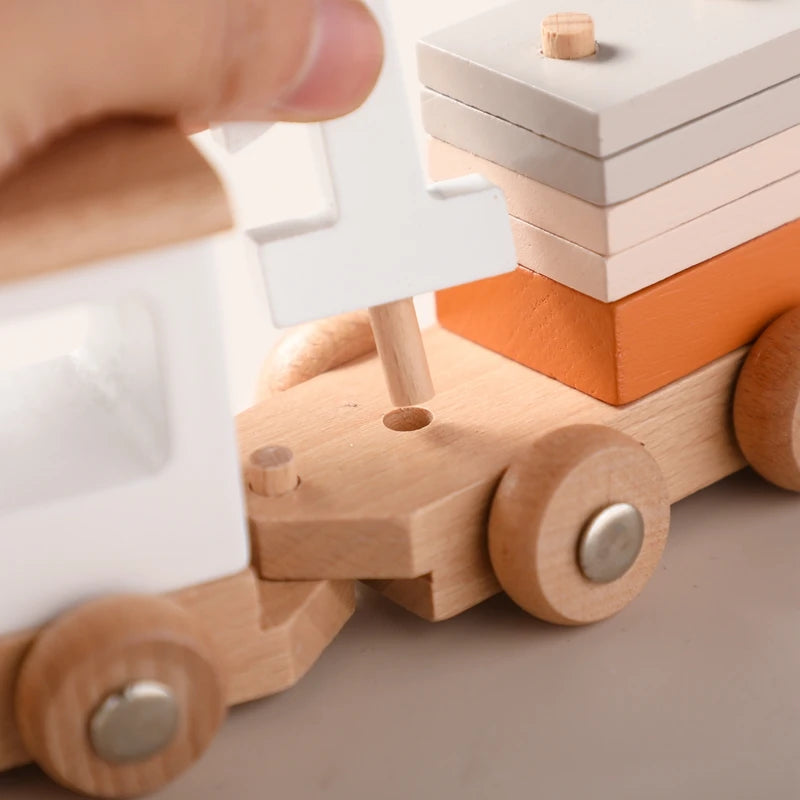 Montessori Toys Baby Wooden Bouncing Color Recognition Toy Training Children Colour Perception Coordination Toy Baby Block Gifts
