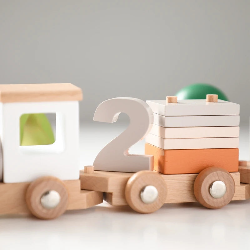 Montessori Toys Baby Wooden Bouncing Color Recognition Toy Training Children Colour Perception Coordination Toy Baby Block Gifts