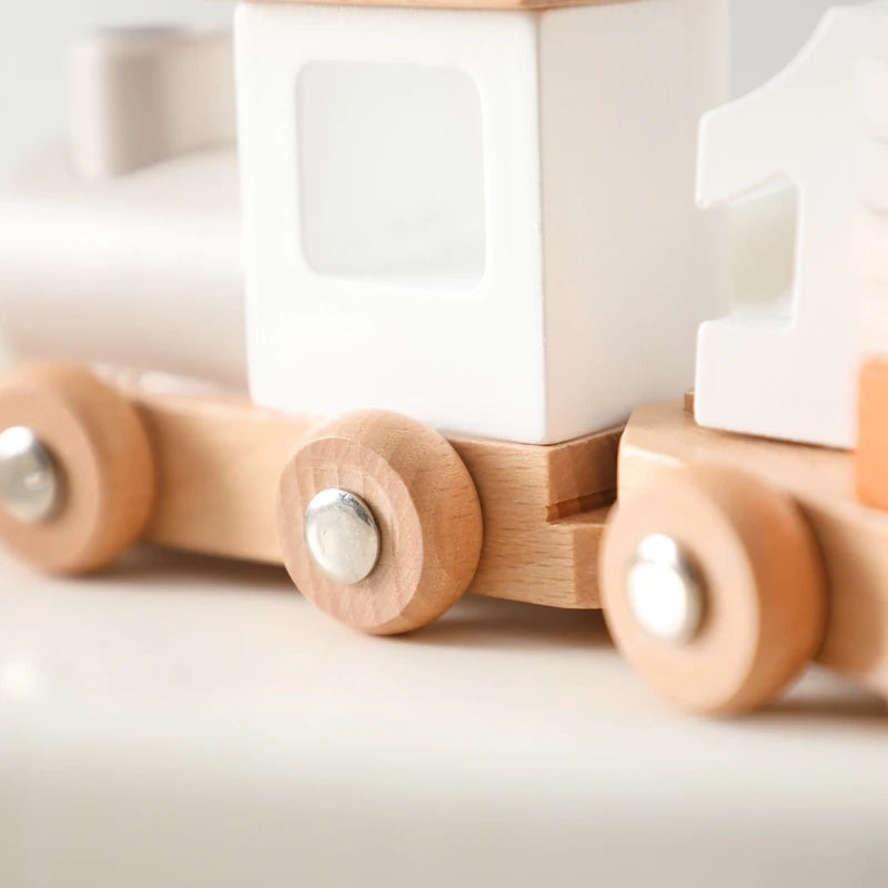 Montessori Toys Baby Wooden Bouncing Color Recognition Toy Training Children Colour Perception Coordination Toy Baby Block Gifts