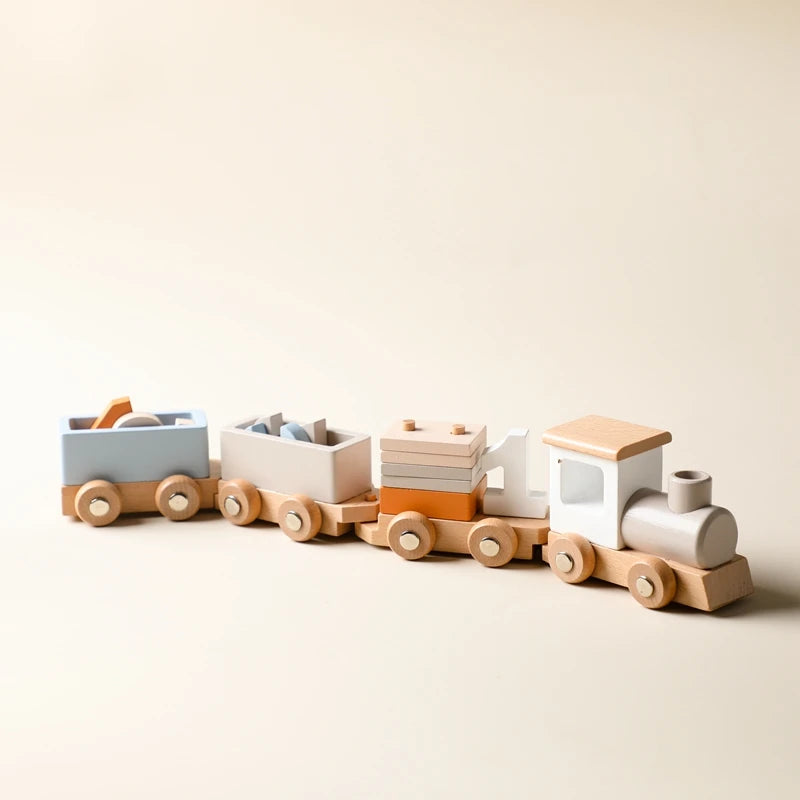Montessori Toys Baby Wooden Bouncing Color Recognition Toy Training Children Colour Perception Coordination Toy Baby Block Gifts