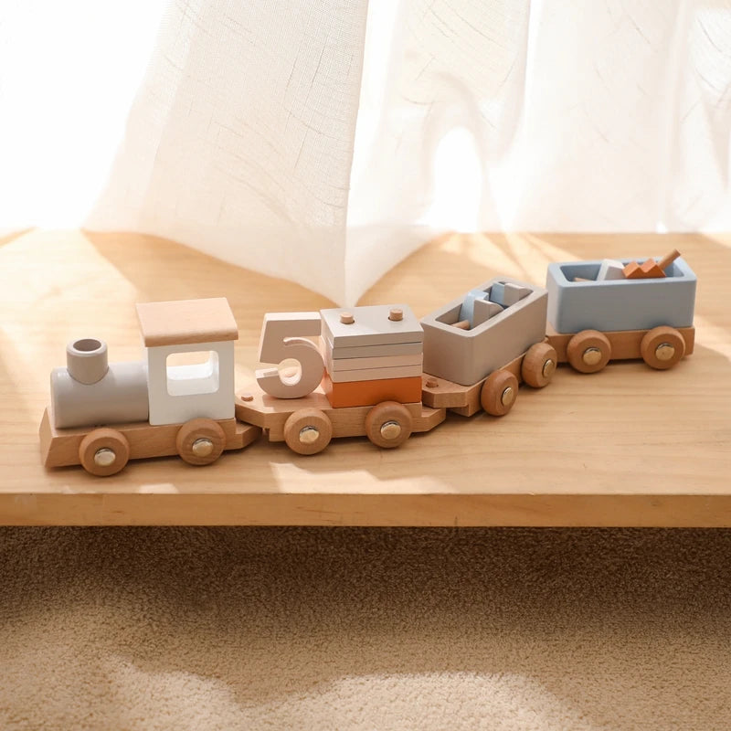 Montessori Toys Baby Wooden Bouncing Color Recognition Toy Training Children Colour Perception Coordination Toy Baby Block Gifts