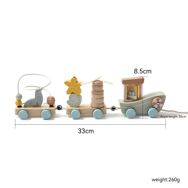 Montessori Toys Baby Wooden Bouncing Color Recognition Toy Training Children Colour Perception Coordination Toy Baby Block Gifts